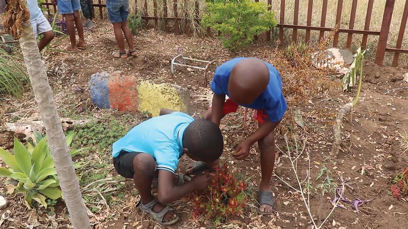 Nature play: Any play that involves exploring nature. This can be watching insects, planting plants, balancing on a rock or playing with feathers, leaves and seeds.
